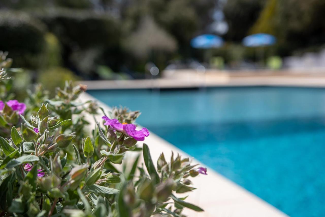 Les Arbousiers Village Hotel Provencal La Roquebrussanne Eksteriør bilde